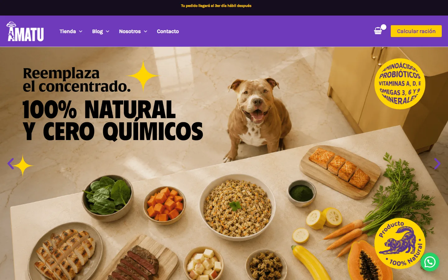 Captura del sitio de Amatu